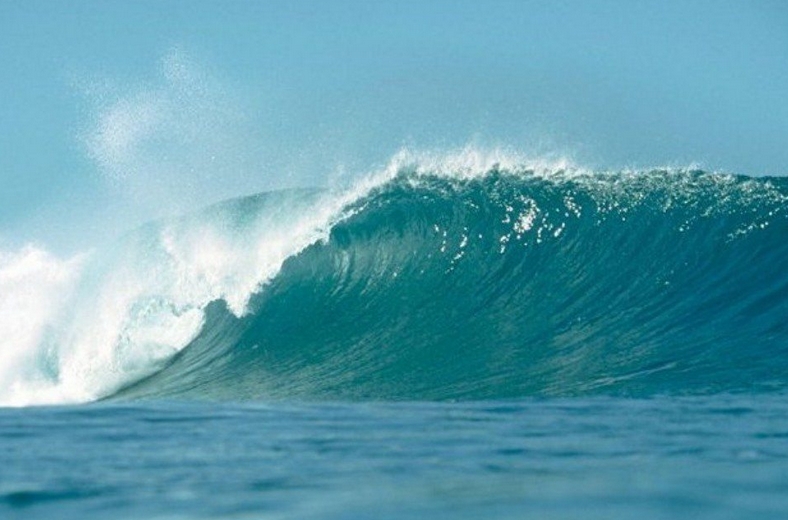 magnifique vague