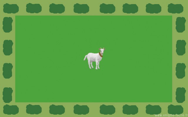 enigme chevre rectangle