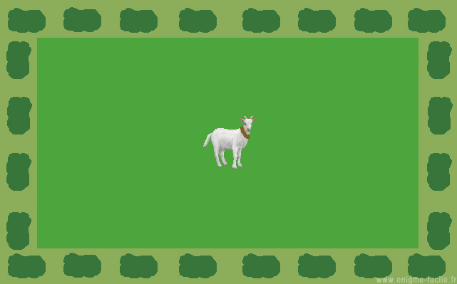 enigme chevre rectangle