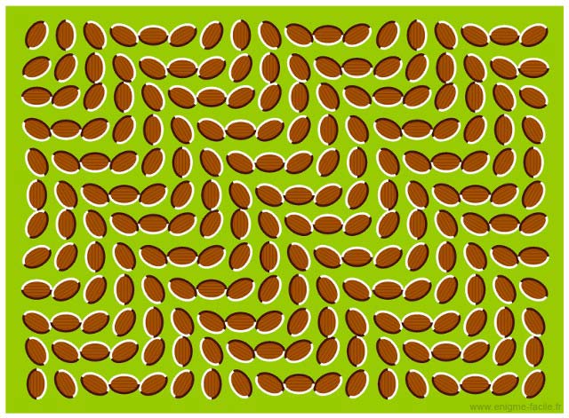 illusion ça bouge