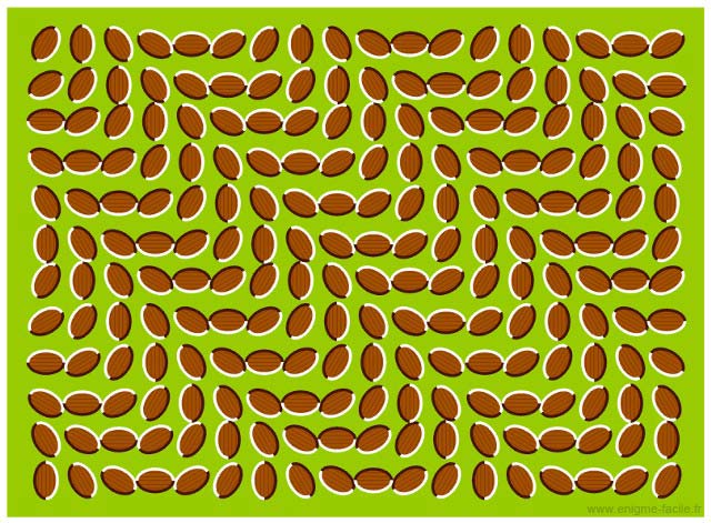 Illusion Doptique ça Bouge Enigme Facile