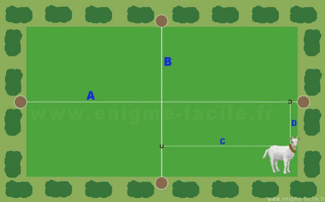 solution enigme chevre champ rectangle