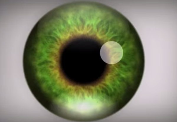 oeil-illusion-optique-video