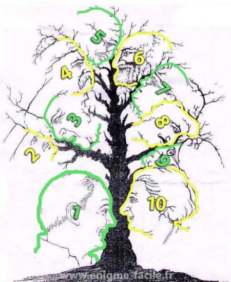 Arbre visage illusion solution