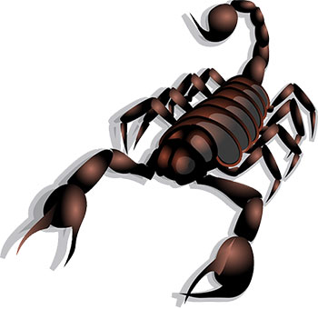 Contrepeterie scorpion malade