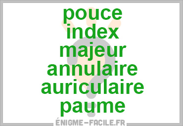 Dingbat pouce index majeur