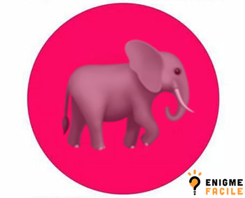 Solution cercle rose elephant