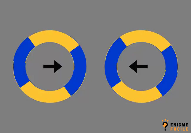 illusion d'optique des 2 cercles (solution et explication)